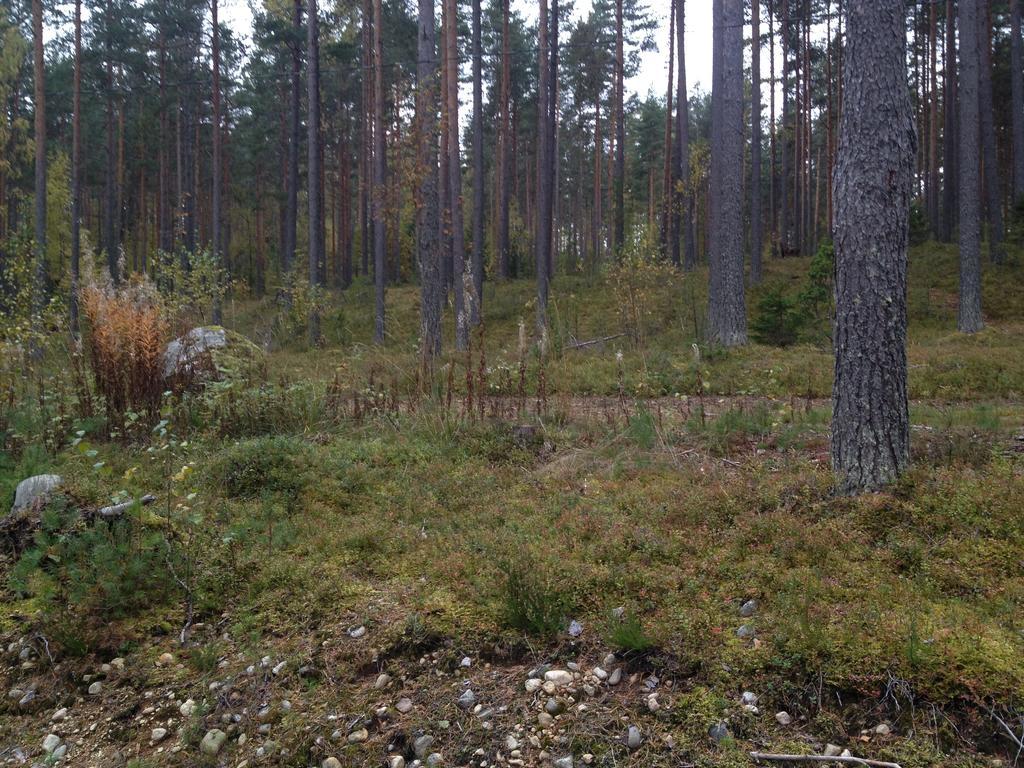 Kultainen Kaava Cottages Padasjoki Exterior photo